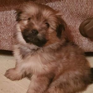 Meet your Posher, Glendora